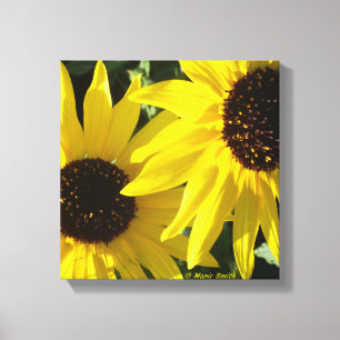Black Eyed Susans Canvas Print
