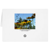 Black eyed Susans Cards (Back Horizontal)