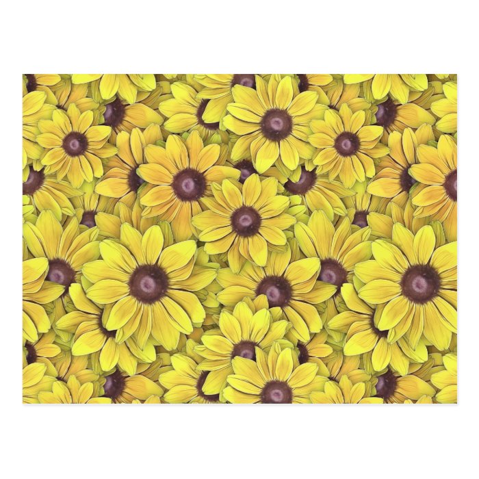 Black Eyed Susans Everywhere Post Cards