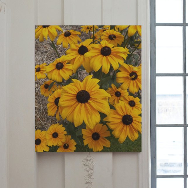 Black Eyed Susans Floral Gallery Wrap (In Situ)