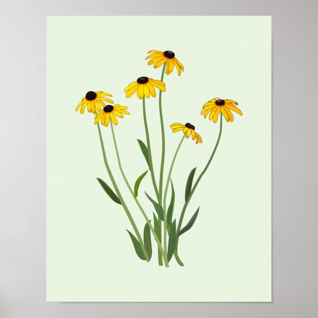 Black Eyed Susans Flower Fine Art Poster (Front)