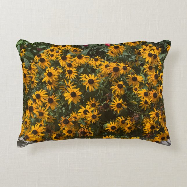 Black eyed Susan's Flowers, Floral, Photography Accent Pillow (Front)