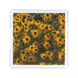 Black eyed Susan's Flowers, Floral, Photography Acrylic Tray