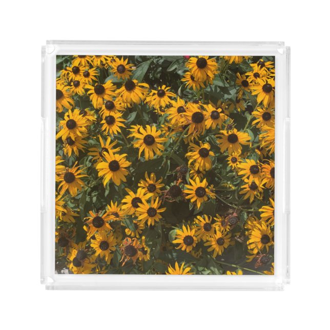 Black eyed Susan's Flowers, Floral, Photography Acrylic Tray (Front)