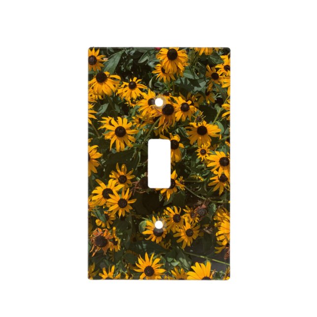 Black eyed Susan's Flowers, Floral, Photography Light Switch Cover (Front)