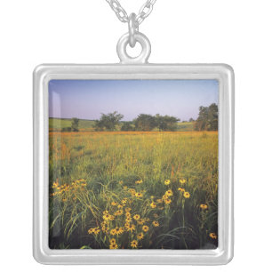 Black eyed Susans in tallgrass prairie at Neil Silver Plated Necklace