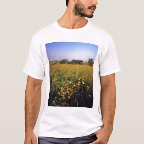 Black eyed Susans in tallgrass prairie at Neil T_Shirt