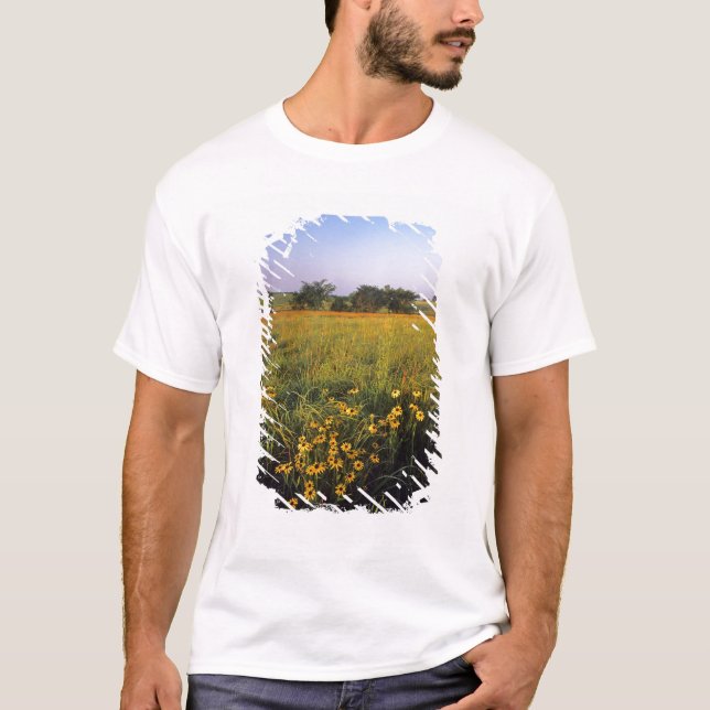 Black eyed Susans in tallgrass prairie at Neil T-Shirt (Front)