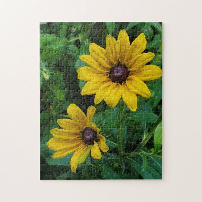 Black-Eyed Susans Jigsaw Puzzle (Vertical)