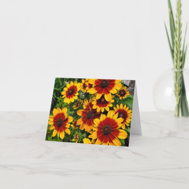 Black-eyed Susans Letterpress Thank You Card (Front)