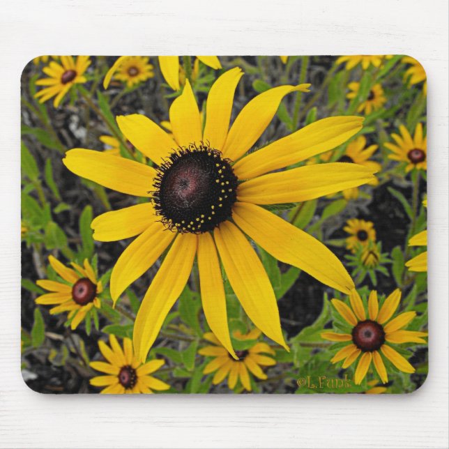 Black Eyed Susans Mouse Pad (Front)