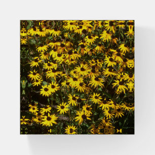 Black eyed Susans paperweight
