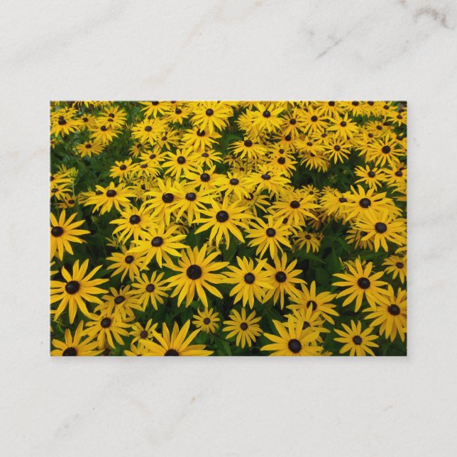 Black-eyed Susans (Rudbeckia Hirta) Business Card (Front)