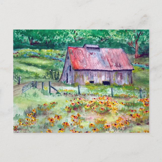 Black-Eyed Susans Wildflower Barn Watercolor Postcard (Front)