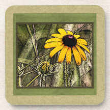 Black eyed Susie