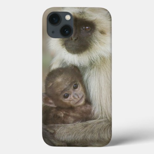 Black_face Langurs mother with baby in iPhone 13 Case