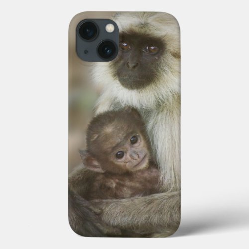 Black_face Langurs mother with baby in iPhone 13 Case