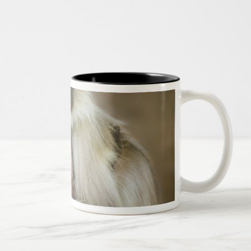 Black_face Langurs mother with baby in Two_Tone Coffee Mug