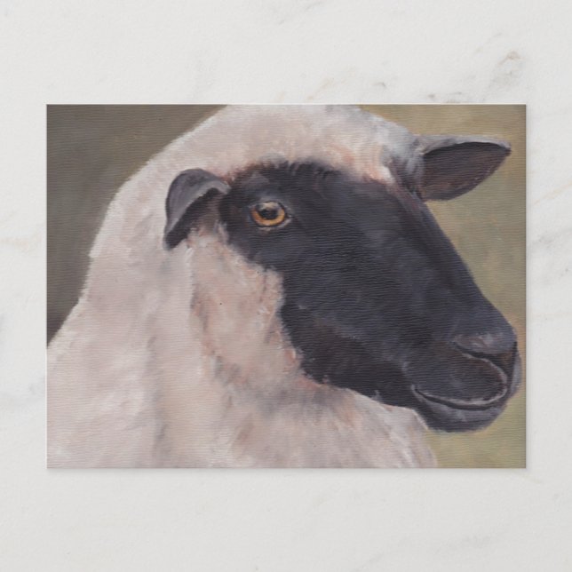 Black Face Sheep Art Postcard (Front)