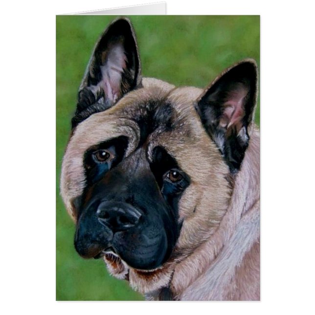black faced akita dog saying sorry cards (Front)