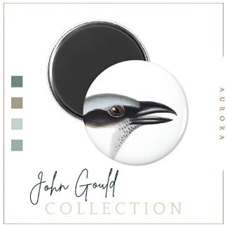 Black-faced Cuckoo-shrike Magnet