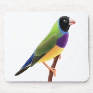 Black Faced Gouldian Finch Mousepad