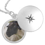 Black Faced Sheep Locket Necklace