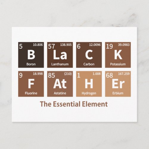 Black Father The Essential Element Melanin Pigment Postcard