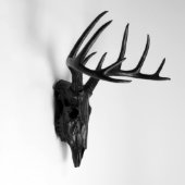 Black Faux Deer Skull (3/4)