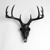 Black Faux Deer Skull (Front)