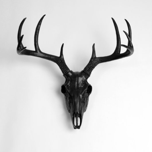 Black Faux Deer Skull (Front)
