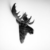 Black Faux Moose Head (3/4)