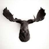 Black Faux Moose Head (Front)