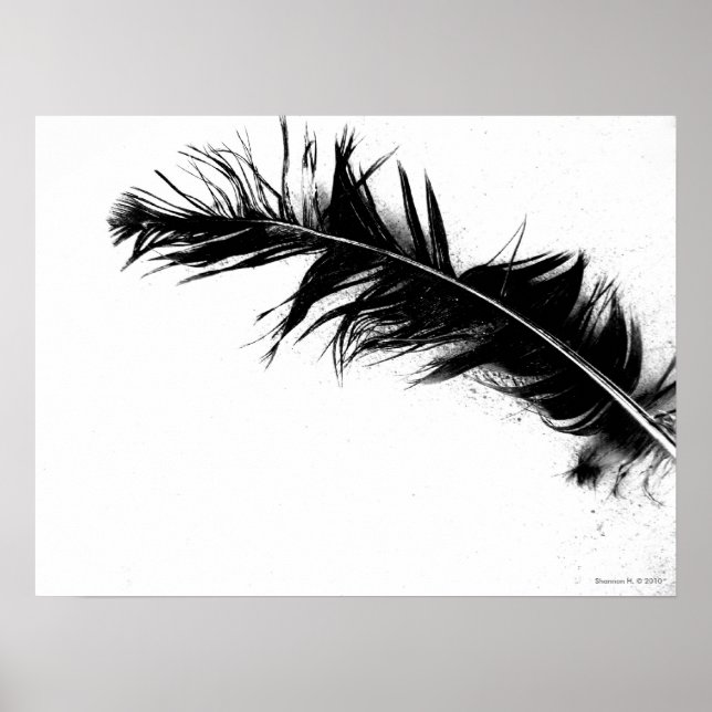 Black Feather Poster (Front)
