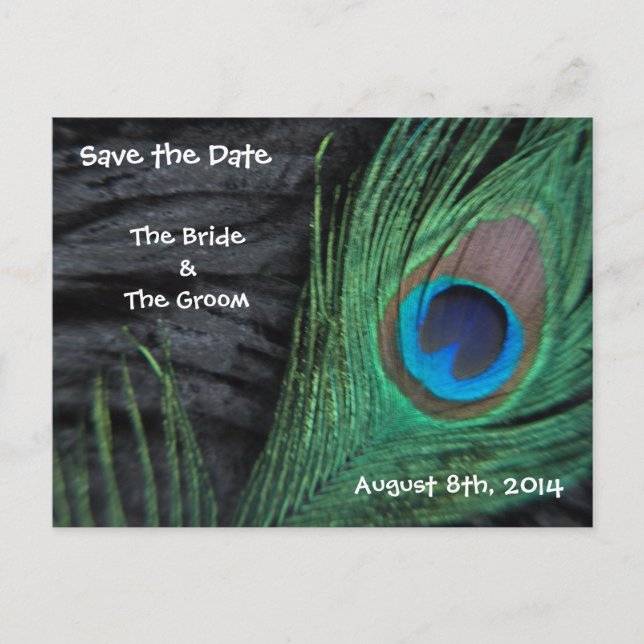 Black Feathers Save the Date Announcement Postcard (Front)