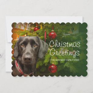 Black female Labrador Retriever Holiday Card