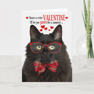Black Fluffy Cat Valentine's Day Feline Humor Holiday Card