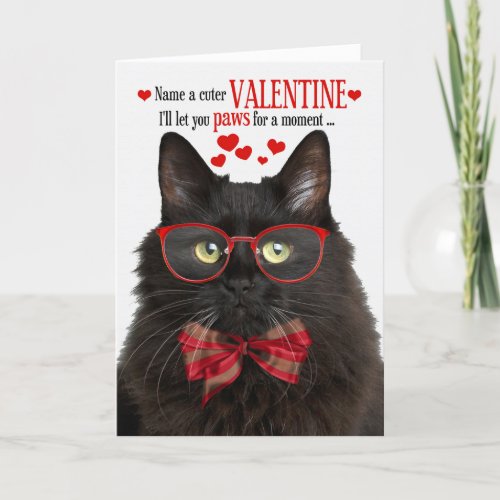 Black Fluffy Cat Valentines Day Feline Humor Holiday Card