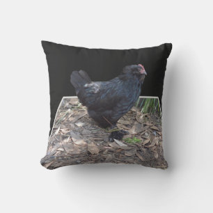 Black Fluffy Chicken, Throw Pillow