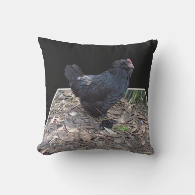 Black Fluffy Chicken, Throw Pillow (Front)