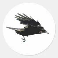 Get Perfect Crow Sticker Gothic Stickers Here With A Big Discount.