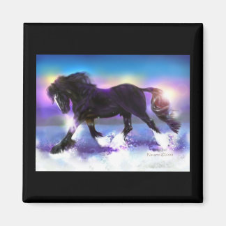 Black Foot Shire Magnet