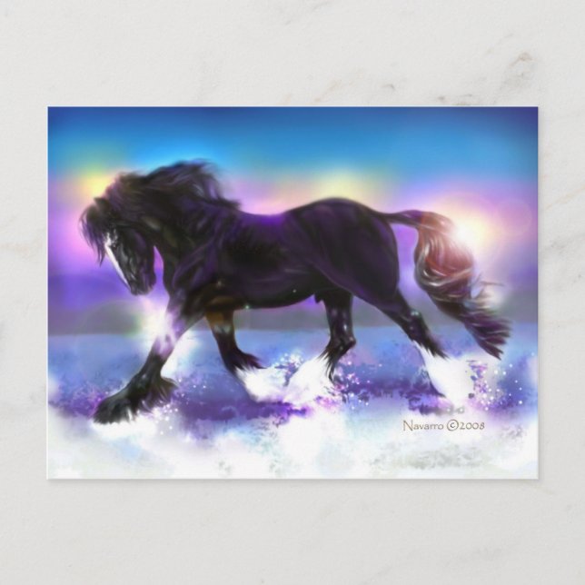 Black Foot Shire Postcard (Front)