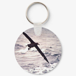 Black-footed albatross in flight keychain