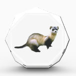 Black-Footed Ferret Award<br><div class="desc">The curious ferret is a favorite wild creature and/or pet for many folks. Exquisite design of one of America's fragile wild animals.</div>