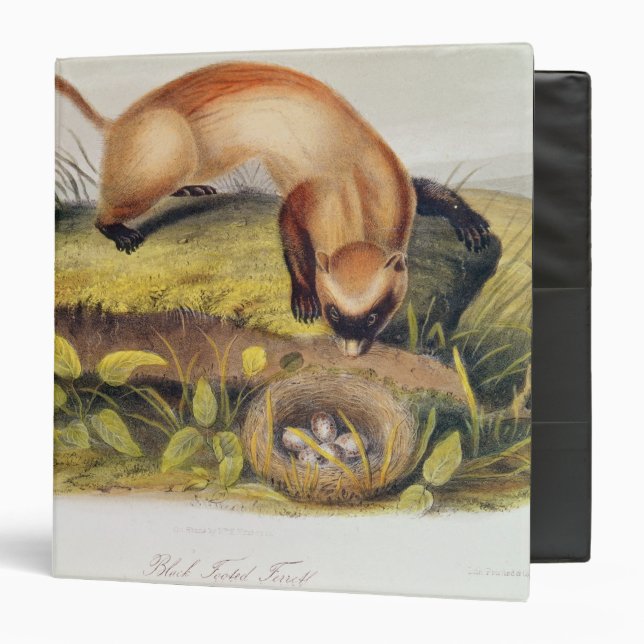 Black-footed Ferret Binder (Front/Inside)