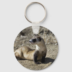 Black-Footed Ferret (captive) Keychain