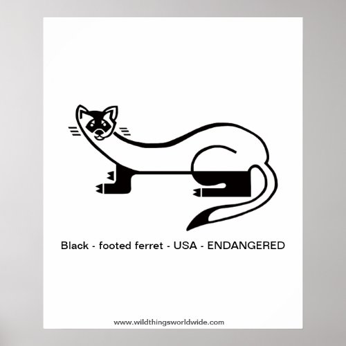 Black_footed FERRET_ Endangered animal _Nature Poster