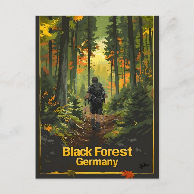 Black Forest Germany Hiking Postcard (Front)
