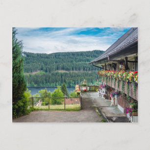 Black Forest, Germany Postcard